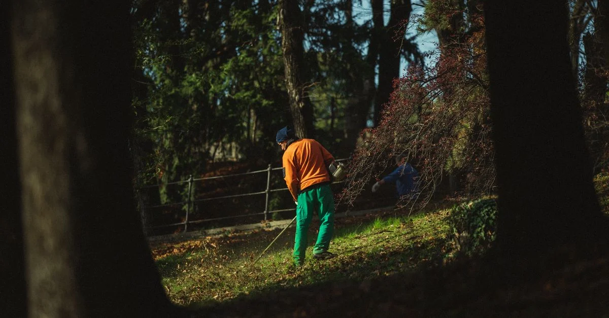 Un homme en vêtements colorés tond l'herbe dans un parc ensoleillé entouré d'arbres.
