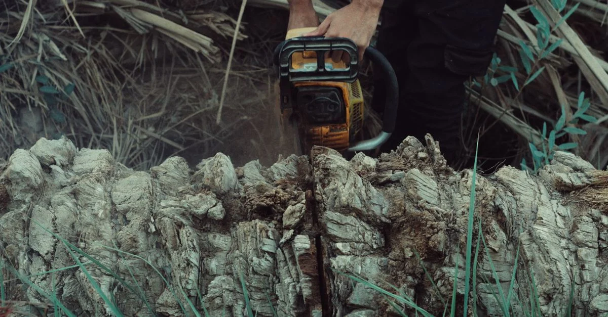 Gros plan d'un homme utilisant une tronçonneuse pour couper un tronc d'arbre en plein air.