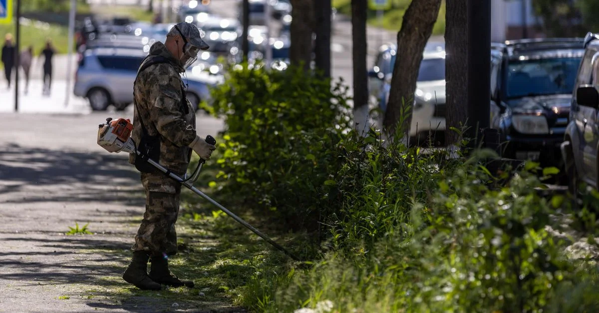 Un jardinier taille des plantes le long du trottoir de la ville par une journée ensoleillée.