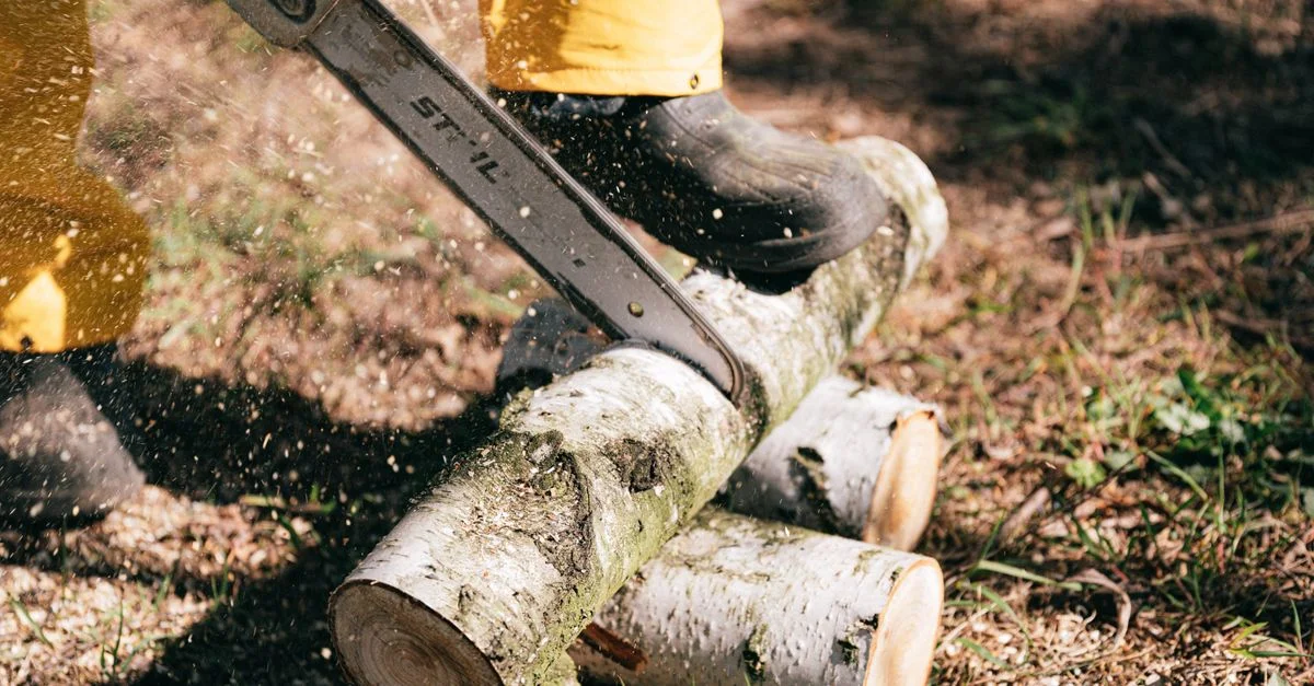 Ouvrier forestier utilisant une tronçonneuse pour couper des bûches dans un environnement extérieur.