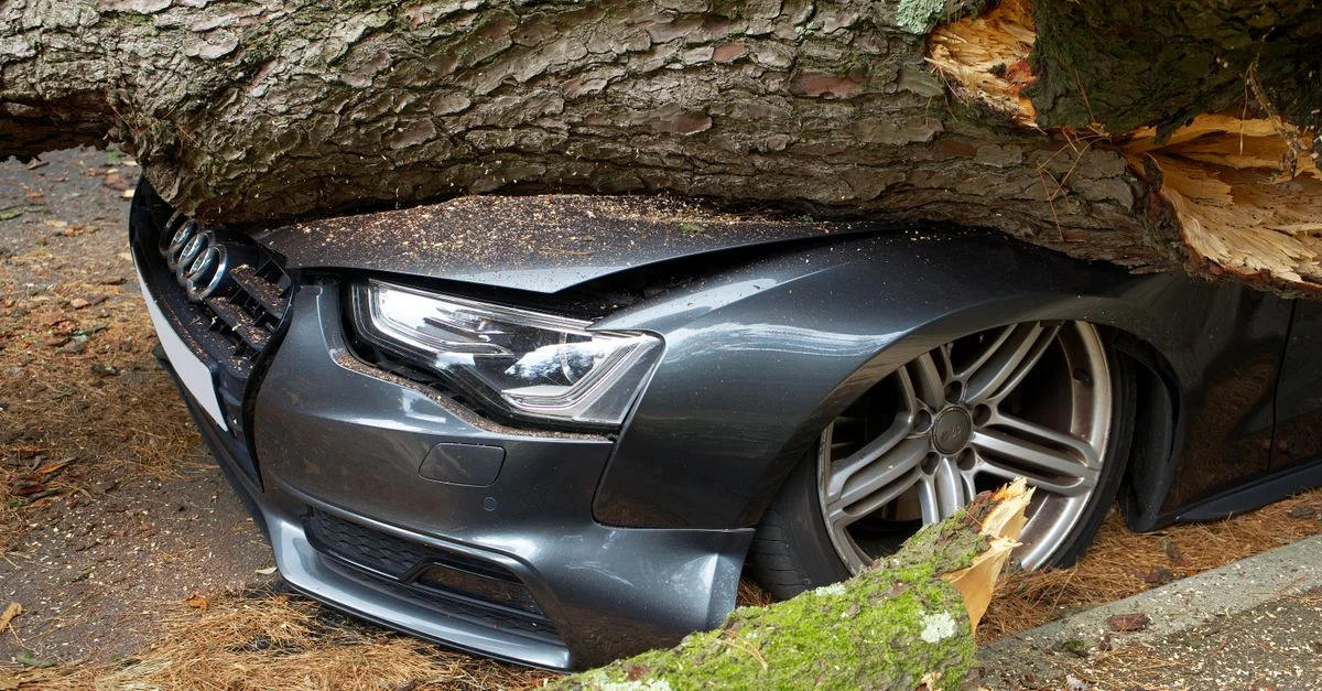 Un véhicule endommagé par un arbre tombé après un accident au Royaume-Uni.