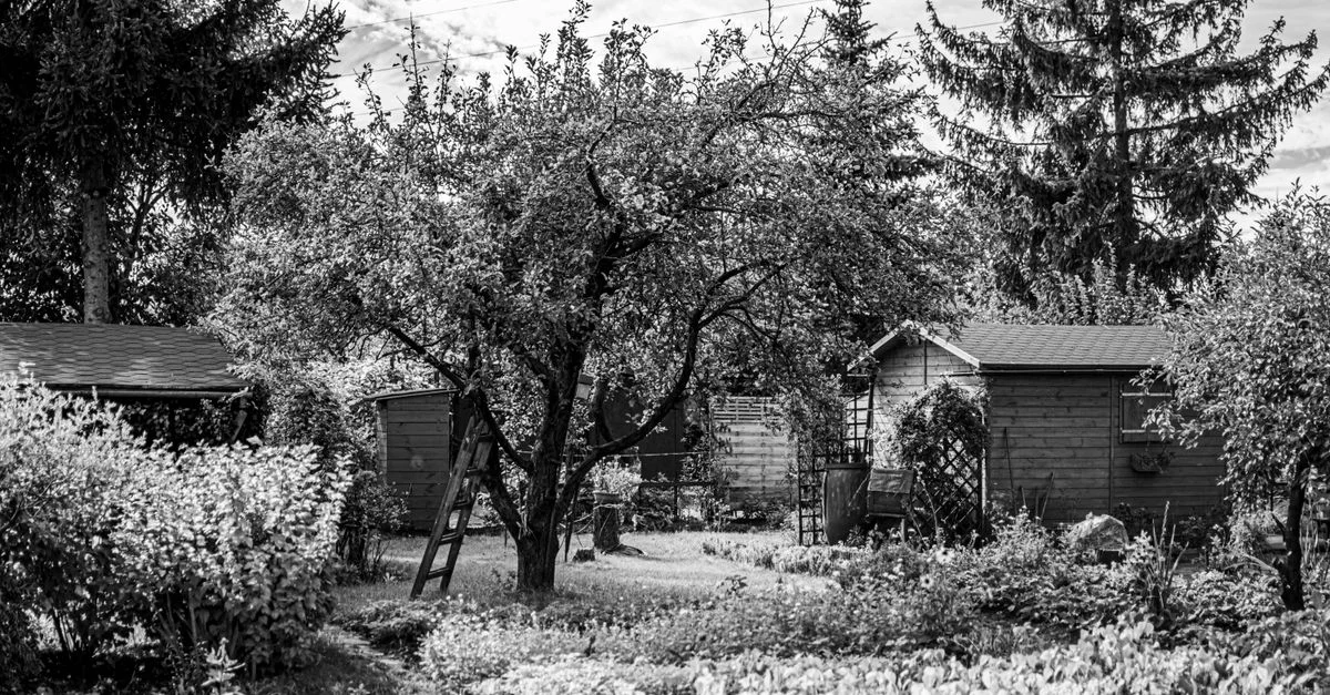 Photo en noir et blanc d'un jardin rustique avec des arbres et des cabanons.