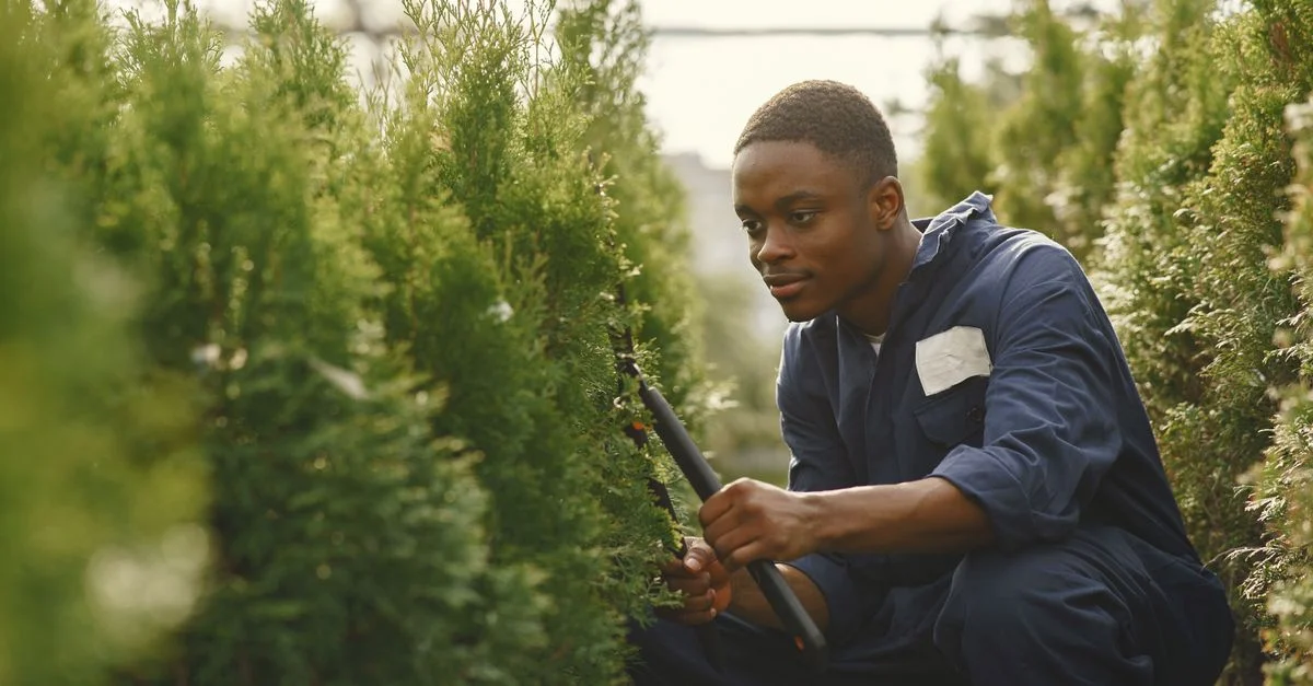Jeune jardinier s'accroupissant tout en taillant des plantes dans une pépinière en plein air, portant une combinaison bleue.