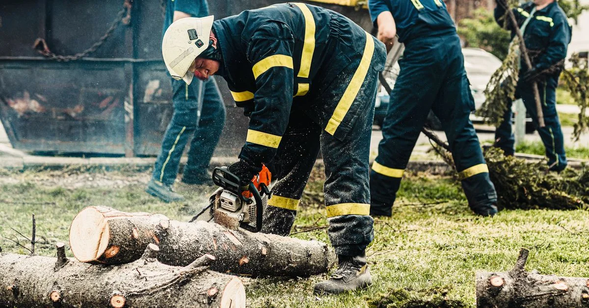 Des pompiers en tenue de protection utilisant une tronçonneuse pour dégager des arbres tombés en extérieur. Travail d'équipe en action.