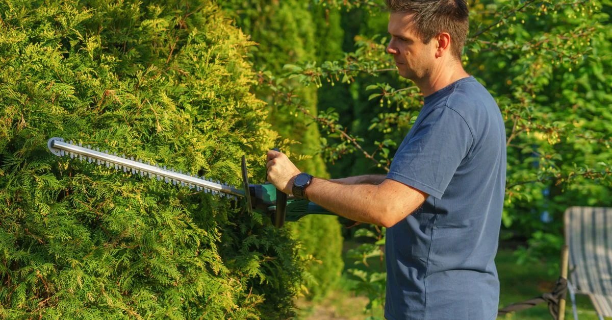 Homme taillant une haie avec un taille-haie électrique dans un jardin ensoleillé.