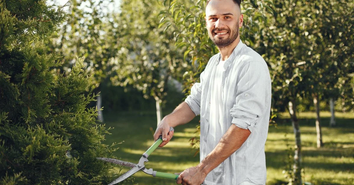Homme souriant utilisant un sécateur dans un jardin ensoleillé, créant une scène naturelle et paisible.