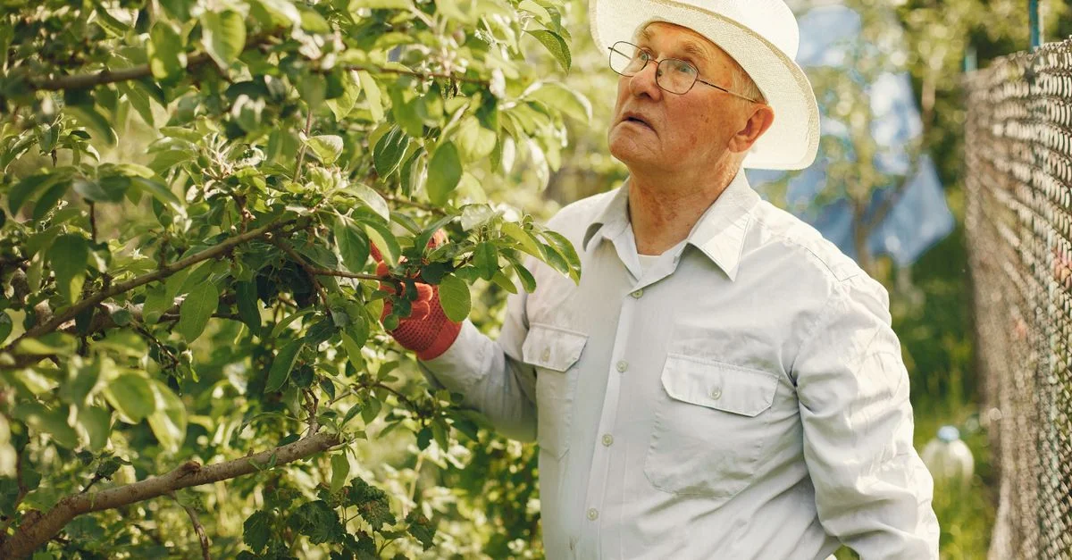 Homme âgé portant un chapeau blanc s'occupant des plantes dans un jardin extérieur luxuriant par une journée ensoleillée.