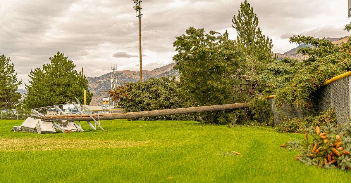 Arbres tombés et poteaux électriques après une tempête dans un champ à Hyrum, Utah.
