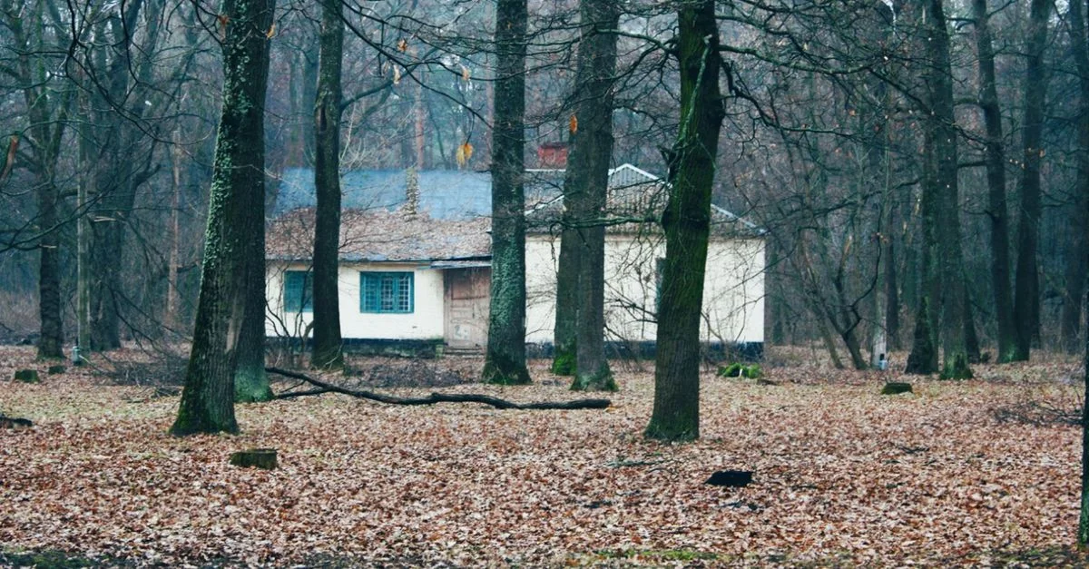 Une maison abandonnée entourée d'une forêt brumeuse à la fin de l'automne, couverte de feuilles tombées.