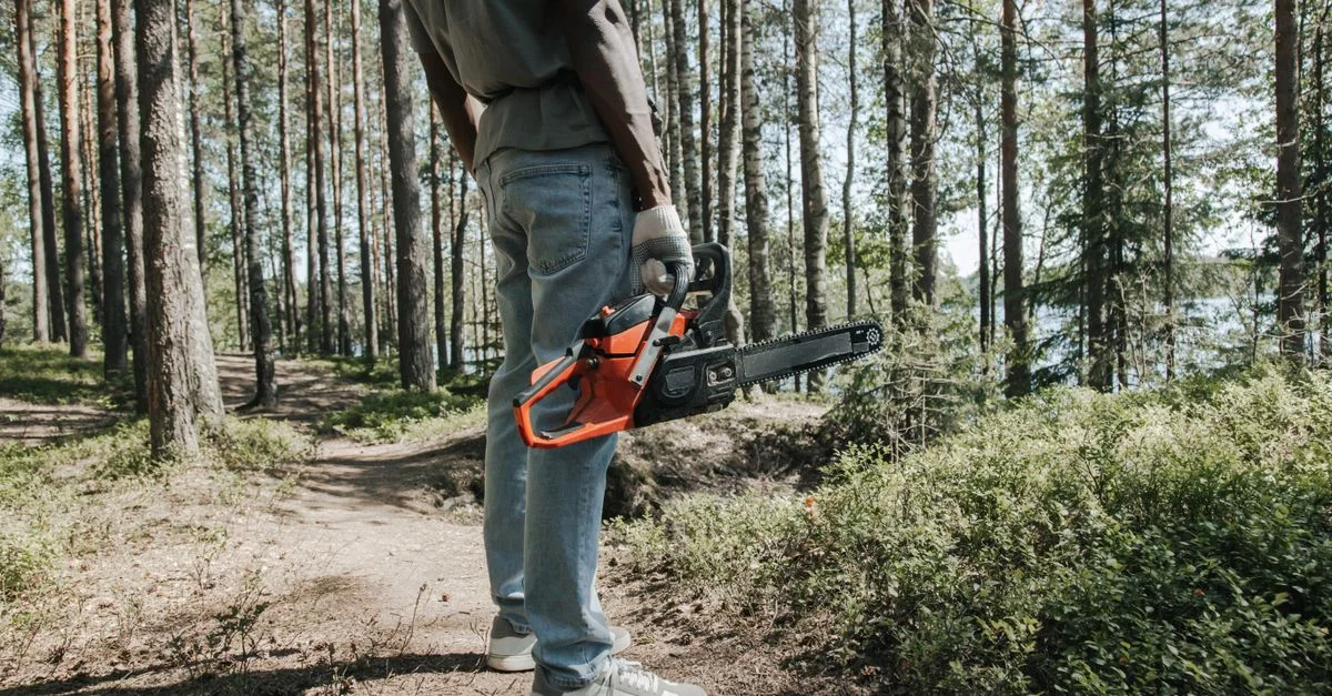 Un travailleur tenant une tronçonneuse se tient dans une forêt, entouré d'arbres par une journée ensoleillée.